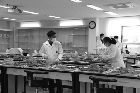 韓國(guó)國(guó)防部遺骸 發(fā)掘鑒識(shí)團(tuán)的鑒別人 員在工作中。萬(wàn)宇攝