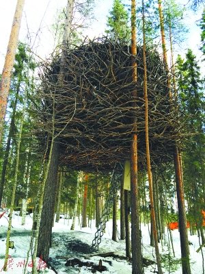 圖②：“鳥巢”客房，形如其名，唯一能將它與樹林中真正的鳥巢區(qū)分開來的是它大得多的體積。客房的窗戶隱藏在枝丫間，很難被發(fā)現(xiàn)。這是一間擁有現(xiàn)代設(shè)計感的標(biāo)準(zhǔn)客房。房間有四張睡床，完全可以容納一個家庭入住。