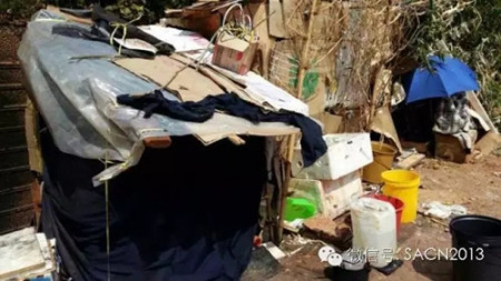 南非僑胞陳先生自己蓋的“房子”(南非《華僑新聞報(bào)》))