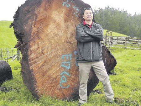 (新西蘭《中文先驅(qū)報(bào)》) (新西蘭《中文先驅(qū)報(bào)》)