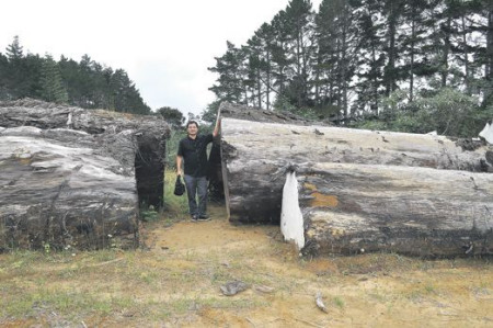 (新西蘭《中文先驅(qū)報》)