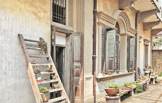 屋外種植的綠色植物為洋樓增添生機(jī)。