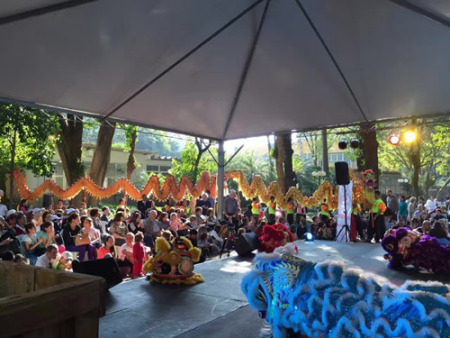 藝術(shù)團(tuán)龍獅隊(duì)在表演舞龍舞獅 藝術(shù)團(tuán)龍獅隊(duì)在表演舞龍舞獅