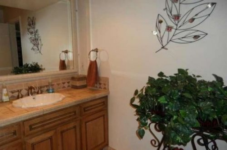 (美國(guó)《qiao》) (美國(guó)《qiao》)