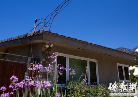  王寶強(qiáng)與馬蓉的宅邸窗前的花開得很艷麗。（僑報(bào)記者邱晨攝）