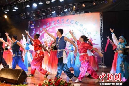 圖為：巴西朋友表演中國功夫。　莫成雄　攝