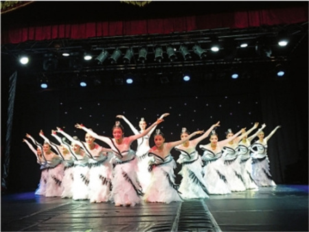 美麗的“丹頂鶴”飄然而降翩翩起舞。(資料圖)