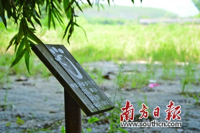 江門鶴山雙合段潮人徑標(biāo)識。 南方日報記者 潘偉珊 攝