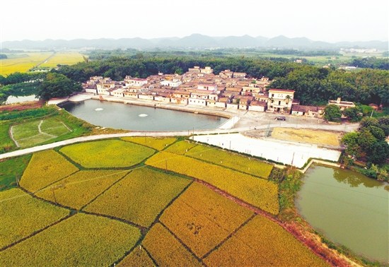 陳丹青故里。