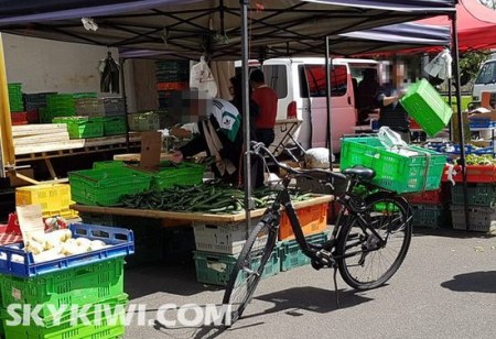 圖中戴頭盔者為姚老伯，而前面的自行車，即為菜園主人所說(shuō)的用來(lái)裝菜的車子。（新西蘭天維網(wǎng)圖片）