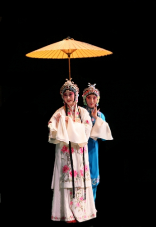 京劇《白蛇傳》演出現(xiàn)場(chǎng) (英國《華聞網(wǎng)》)