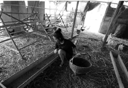 雞鴨吃什么，都有一套嚴(yán)格的標(biāo)準(zhǔn)。