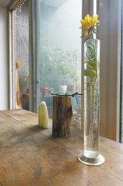 張晉工作室用來養(yǎng)花的量筒。