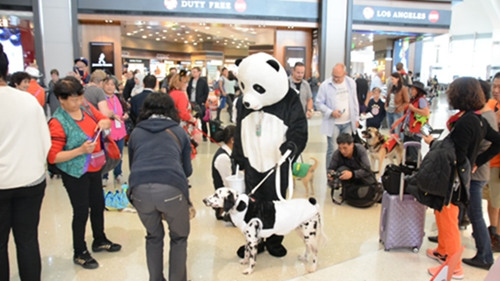 吸引大批旅客駐足。（美國《世界日報》/吳珮甄 攝）