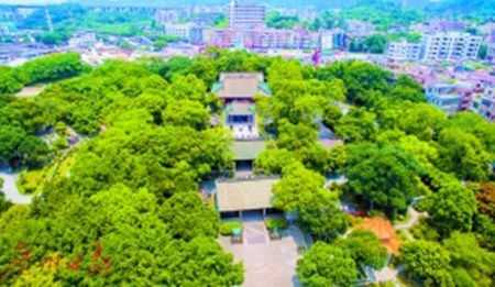 南海神廟。(廣州日報記者 莊小龍 攝)