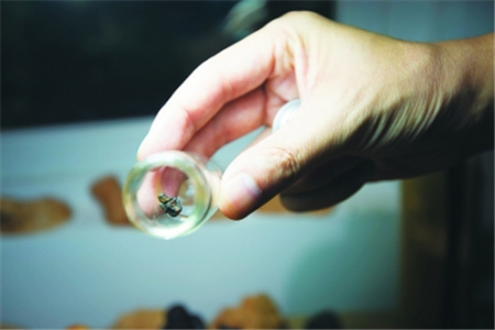  一尊裝在小瓶?jī)?nèi)的沉香料的雪山大士佛像，木料珍貴、雕刻精巧，這樣的木雕作品基本是論克在賣。