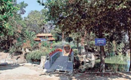 雜草叢生的中國公園