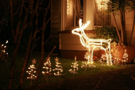 (新西蘭天維網(wǎng)圖片) (新西蘭天維網(wǎng)圖片)