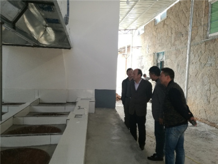 察看長(zhǎng)江村制糖廠 察看長(zhǎng)江村制糖廠