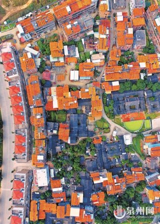 空中俯瞰，滿村曬柿人家盡是“黃金屋”。