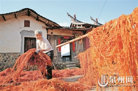 柿皮也是寶，曬干后是家禽家畜的好飼料。