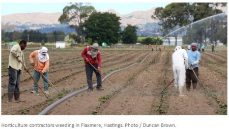 (新西蘭天維網(wǎng)援引nzherald圖片)