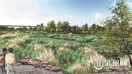 生態(tài)濕地 引潮筑溪，利用晉江流域潮起潮落的特性，根據(jù)原場(chǎng)地地形地貌，因地制宜于低洼處順勢(shì)理水，辟水一灣，潮起時(shí)有深潭、潮落時(shí)有淺灘，水系形態(tài)曲折蜿蜒，并于水系中置島若干，雖由人作，宛若天開(kāi)。還原濕地生境，再造動(dòng)植物共生共存的生態(tài)系統(tǒng)，人與自然和諧共處。