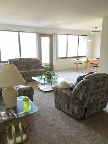 留學(xué)生如今不僅是畢業(yè)搬家大甩賣，也會(huì)把大件家具捐給非營利組織獻(xiàn)愛心。圖為李同學(xué)將捐出沙發(fā)、茶幾等大件家具。(《世界日報(bào)》/受訪者供圖)