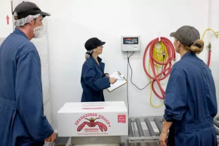 越來越多加拿大龍蝦也來到我們的餐桌啦（活捉吃貨小僑一枚）