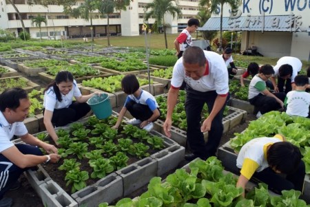 師生們與義工們?cè)诓似砸黄鸸ぷ?，因?yàn)橛辛艘粋€(gè)共同目標(biāo)，無(wú)形中促進(jìn)了彼此之間的情誼。（馬來(lái)西亞《星洲日?qǐng)?bào)》）