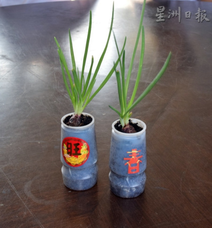  配合新春的到來(lái)，全校學(xué)生從一年級(jí)至六年級(jí)也發(fā)揮創(chuàng)意，充份利用各種容器如小花瓶，種植小品盆栽蔬菜，也動(dòng)手剪紙貼上吉祥的祝語(yǔ)。（馬來(lái)西亞《星洲日?qǐng)?bào)》）