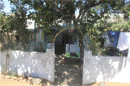 王琪家簡陋的小院。苑基榮/攝