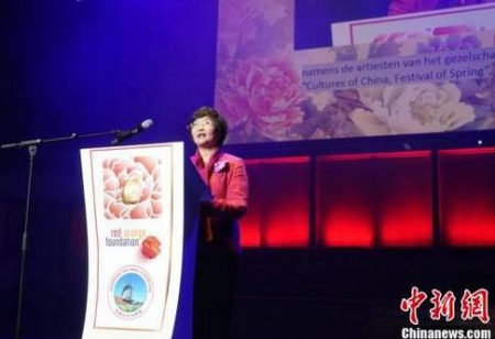 國務(wù)院僑辦副主任王曉萍致辭。