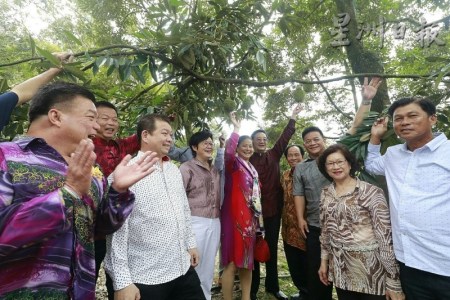 黃惠康（右五）與夫人趙舒美（右六）首次觸摸到長在樹上的榴梿，大感興趣。（馬來西亞《星洲日報》）