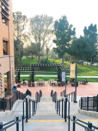 美國(guó)大學(xué)優(yōu)美的校園環(huán)境。（美國(guó)《僑報(bào)》/聶達(dá) 攝）