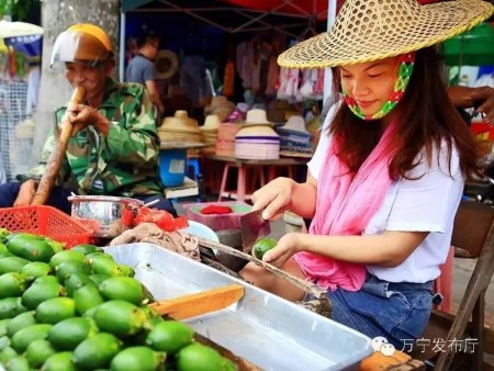 萬寧城鄉(xiāng)處處可見的檳榔青果銷售小攤 萬寧城鄉(xiāng)處處可見的檳榔青果銷售小攤