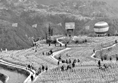 上圖：航拍小舟山鄉(xiāng)油菜花梯田。 梁臻 洪文霆 攝