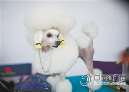 “我好看嗎？”