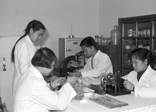 醫(yī)療系胚胎學(xué)青年教師進(jìn)行科學(xué)研究。(<a target='_blank' >中新社</a> 陳一能 攝)