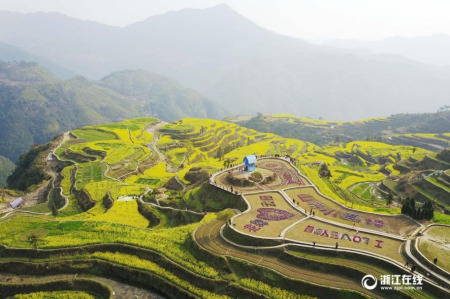 詩畫小舟山，高山梯田油菜花漫山遍野。