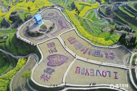 詩畫小舟山，高山梯田油菜花漫山遍野。