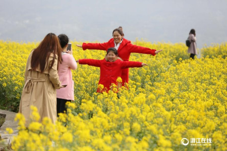 游客在花海中暢游。