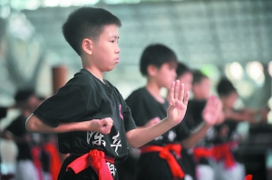 佛山的武術(shù)文化是影視產(chǎn)業(yè)可以挖掘的題材。