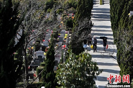 民眾前來(lái)掃墓。<a target='_blank' >中新社</a>記者 任東 攝