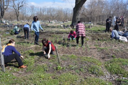 不少華裔民眾樂當(dāng)農(nóng)民，僅有的300多塊地每年都供不應(yīng)求。（美國《世界日報》/牟蘭 攝）