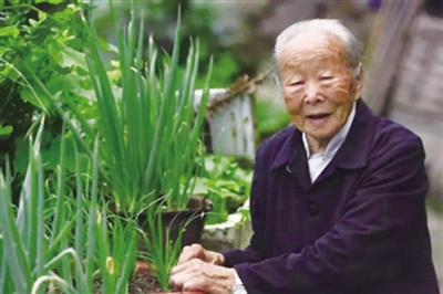 110歲的汪阿葉(女)是目前永嘉最年長的老人。 葉新人 攝