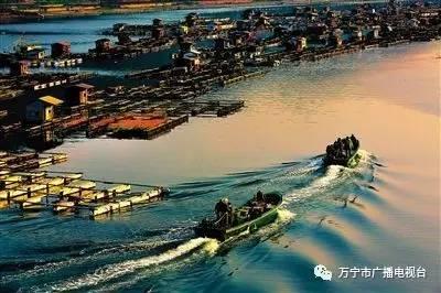 夕陽斜下，水面上忙碌的漁民依舊如梭。