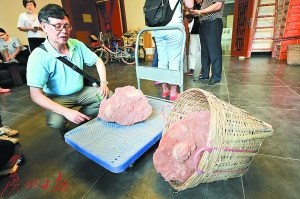 邱立誠介紹恐龍蛋情況。