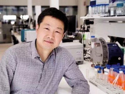 華人教授金大勇