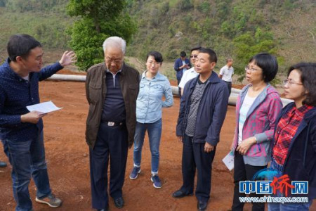 圖為加拿大僑領霍宗杰等正在云南考察。鐘欣 攝